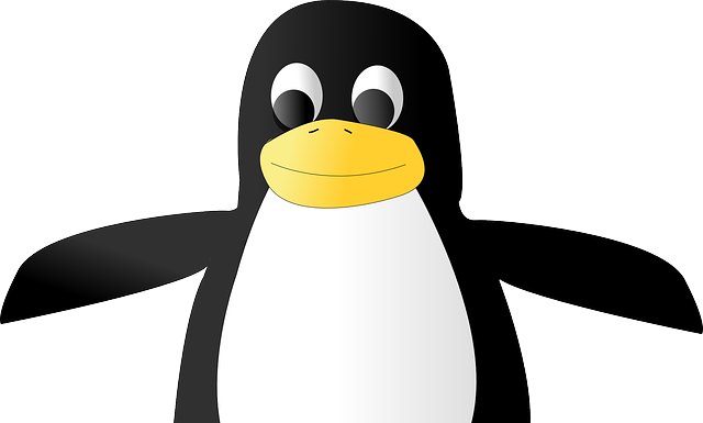 aprire linux sotto android