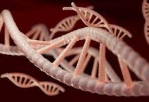 Cos’è il DNS e perché Internet non funzionerebbe senza di esso