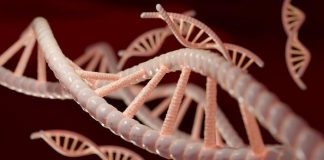 Cos’è il DNS e perché Internet non funzionerebbe senza di esso