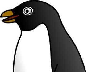 Le distro Linux più leggere per resuscitare un vecchio PC Le distro Linux più leggere per resuscitare un vecchio PC