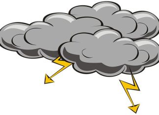 La storia di Adobe Flash Player: un’era del web interattivo La storia di Adobe Flash Player: un’era del web interattivo