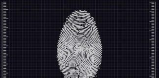 Biometria e sicurezza: impronte digitali, volto e iride