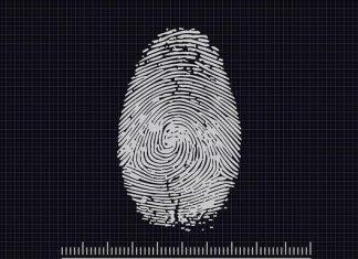 Biometria e sicurezza: impronte digitali, volto e iride