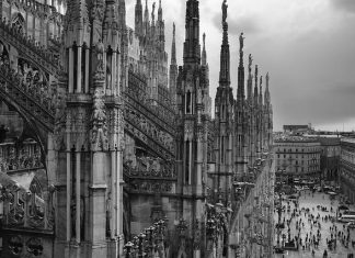 Il linguaggio di programmazione COBOL: il dinosauro che non muore